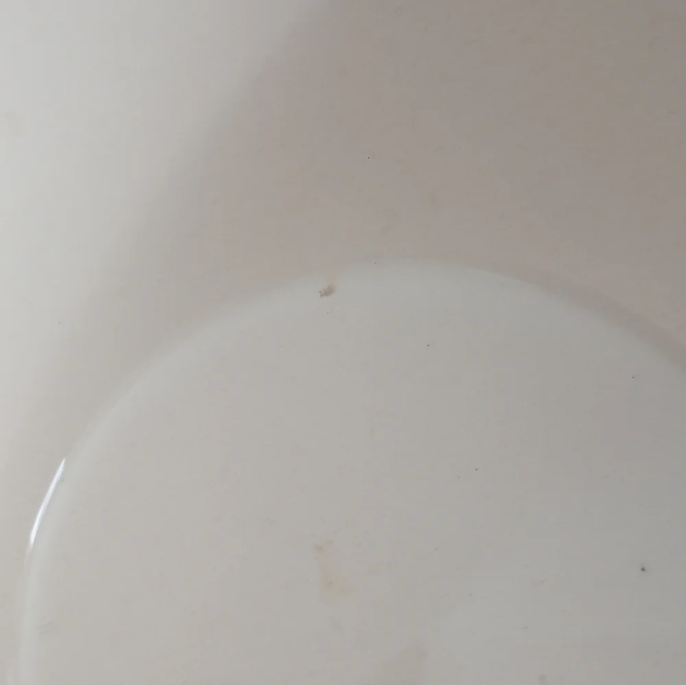 Pier 1 Floral Bird Dish